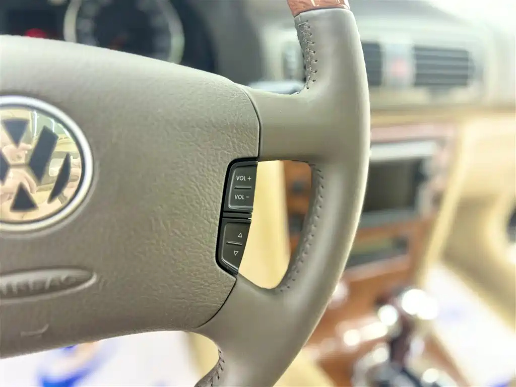 VOLKSWAGEN PASSAT LINGYU 2009