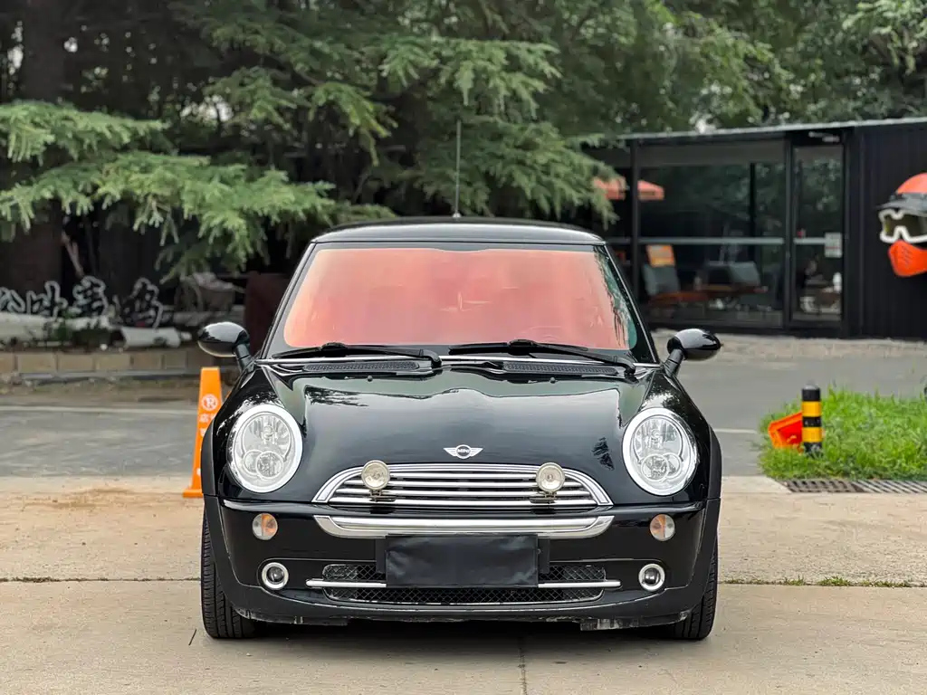 MINI OTHER 2009