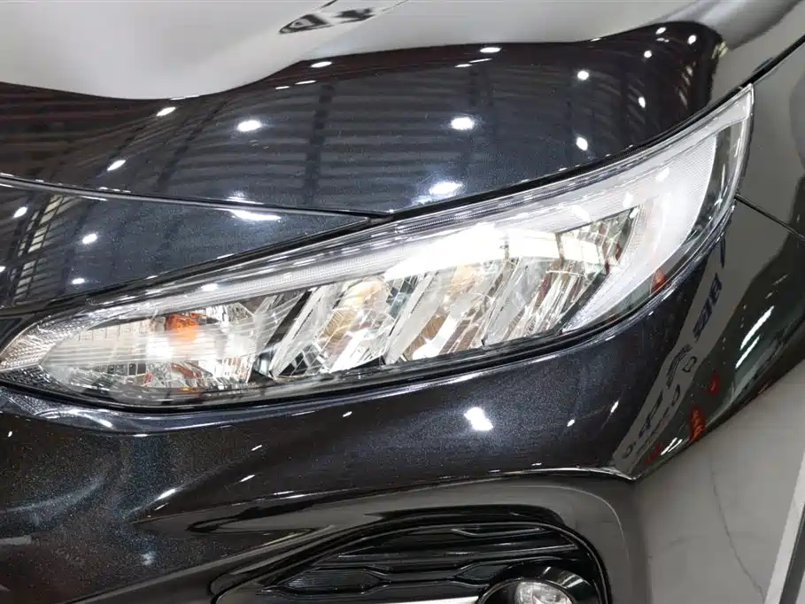 TOYOTA WILDLANDER 2022