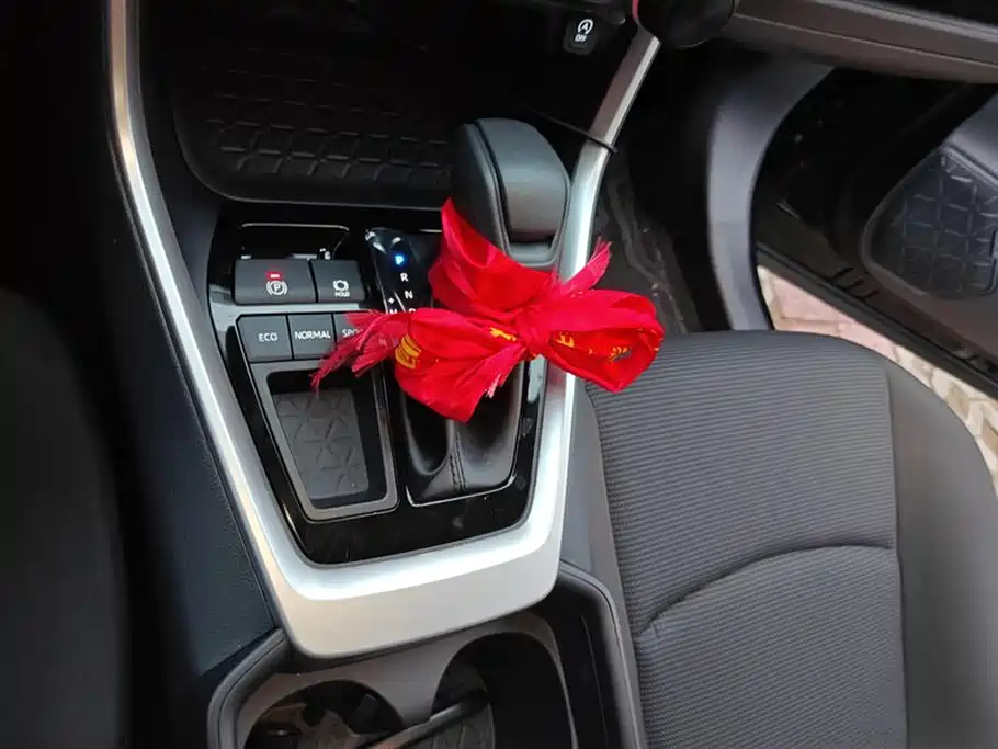 TOYOTA RAV4 RONGFANG 2025