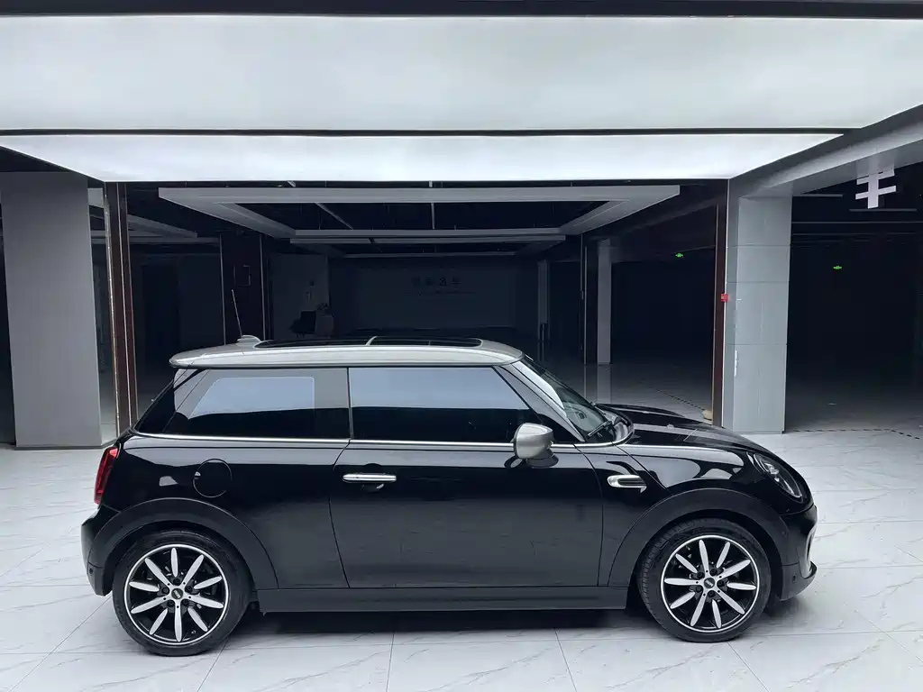MINI OTHER 2021
