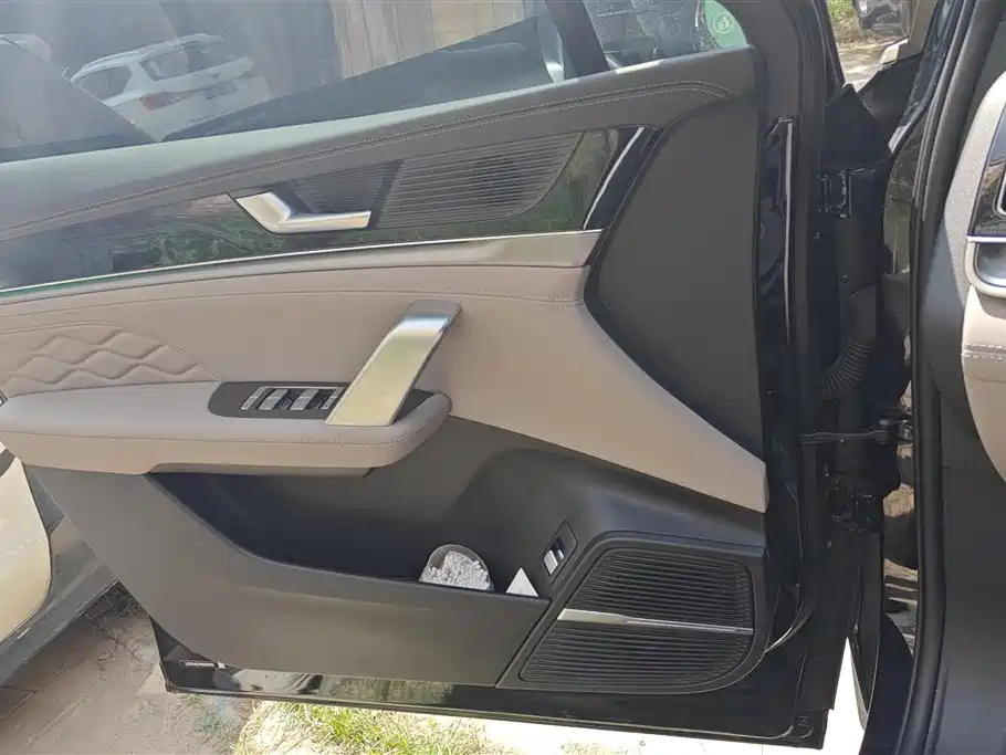 BYD TANG NEW ENERGY 2025