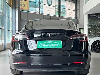 TESLA MODEL 3 IMPORT  2019 YEAR &#38271; RANGE &#21518;&#39537; EDITION 2019
