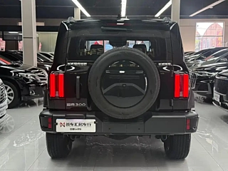 TANK 300 2024 YEAR 2.0T 2024