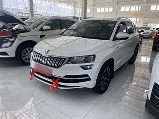 SKODA &#26607;&#29662;&#20811;  2024