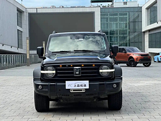 TANK 300  2021