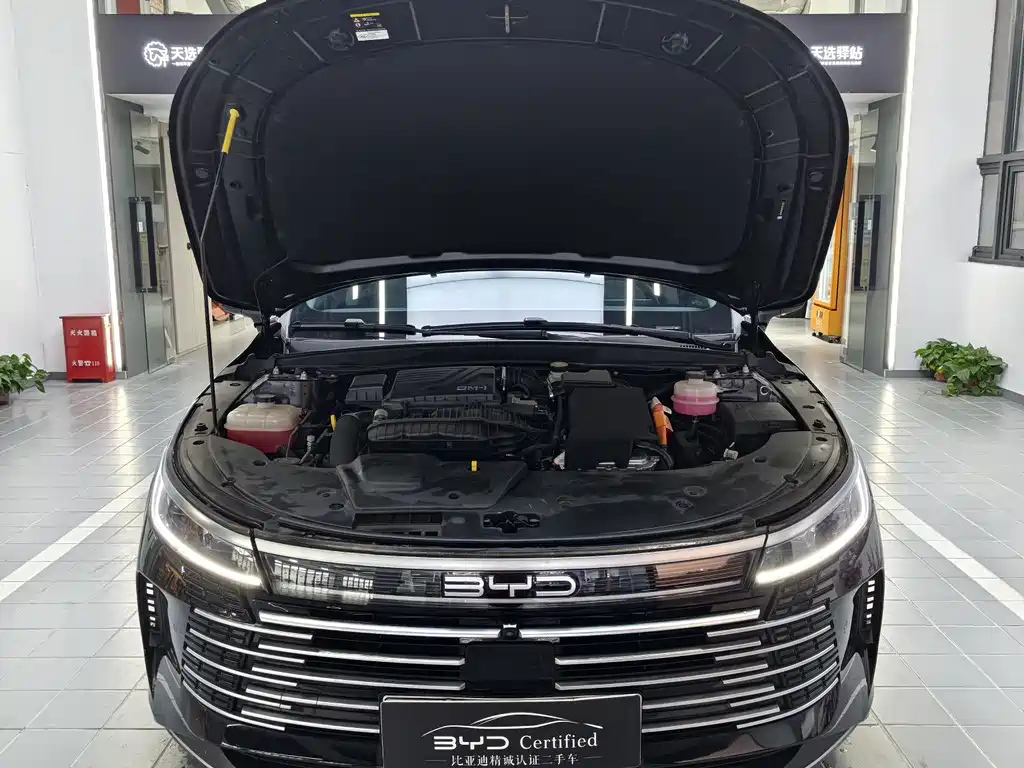 BYD DESTROYER 05 2023