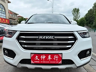 HAVAL H6  2021
