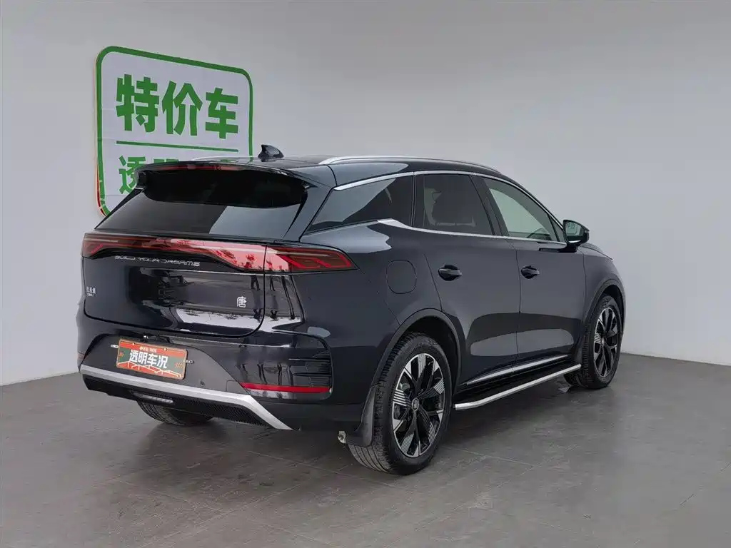 BYD TANG NEW ENERGY 2024