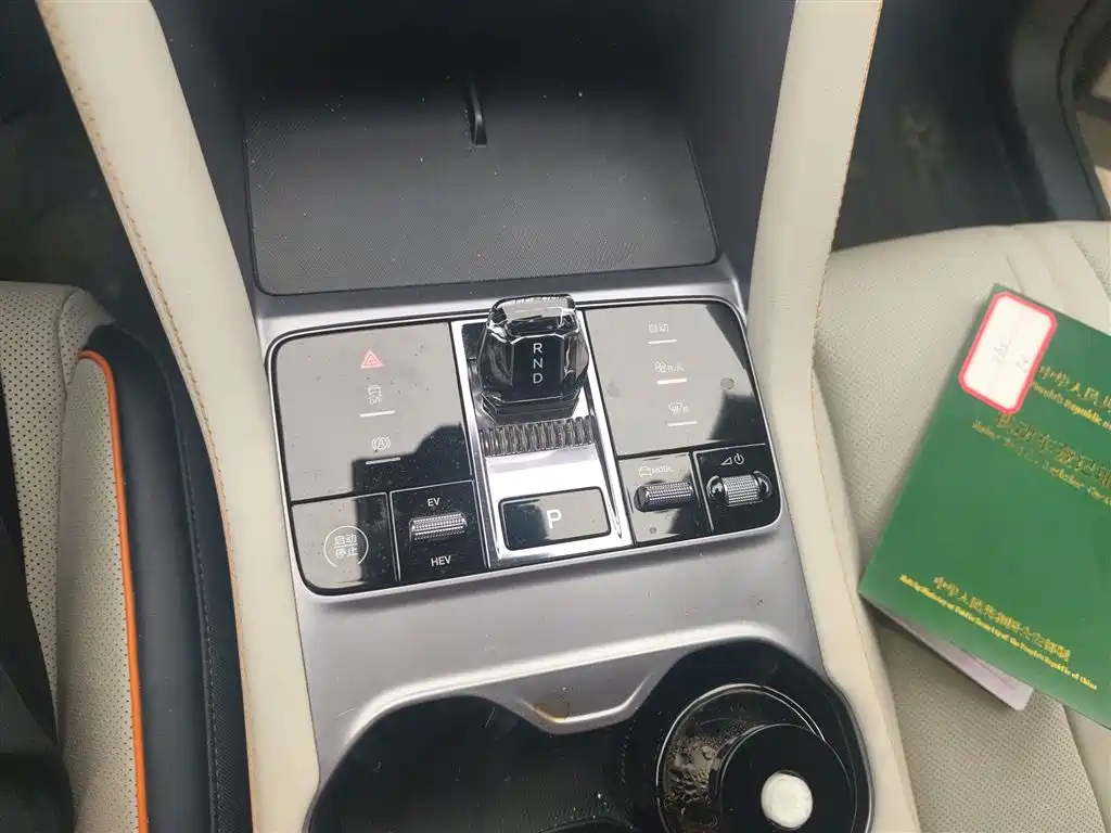 BYD SONG PLUS NEW ENERGY 2024