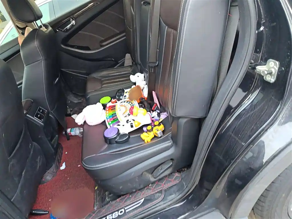 DONGFENG SCENERY 580 2020