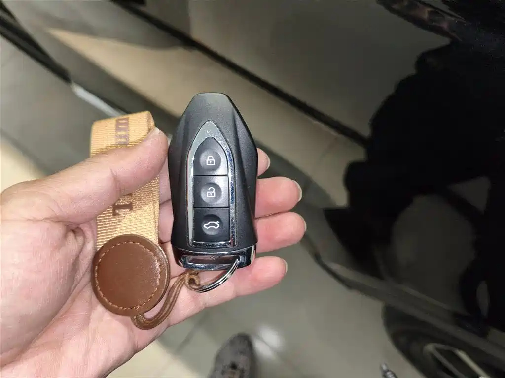 ZOTYE BIG 迈X7 2019