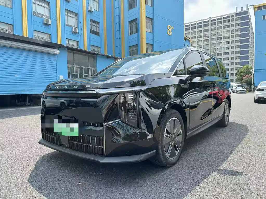 Аукционный лист MAXUS OTHER 2024