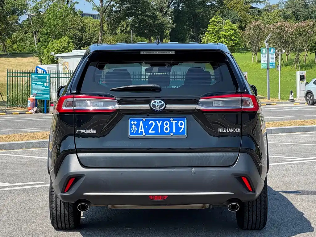 TOYOTA WILDLANDER 2020