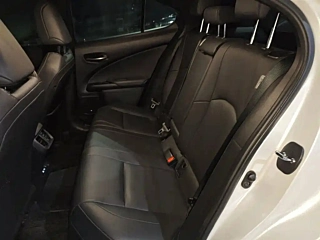 LEXUS UX NEW ENERGY  2020 YEAR 300E &#32431;.&#24742; EDITION 2020