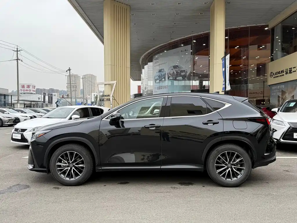 LEXUS NX 2023