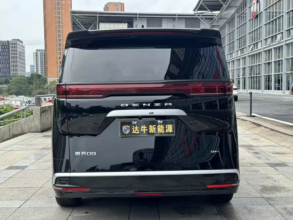 DENZA D9 2024