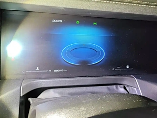 TANK 300 2021 YEAR EDITION 2.0T 2021
