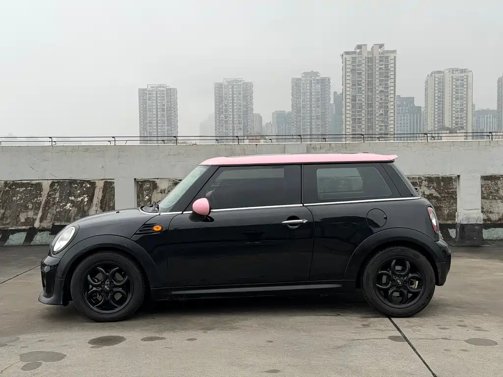 MINI OTHER 2013