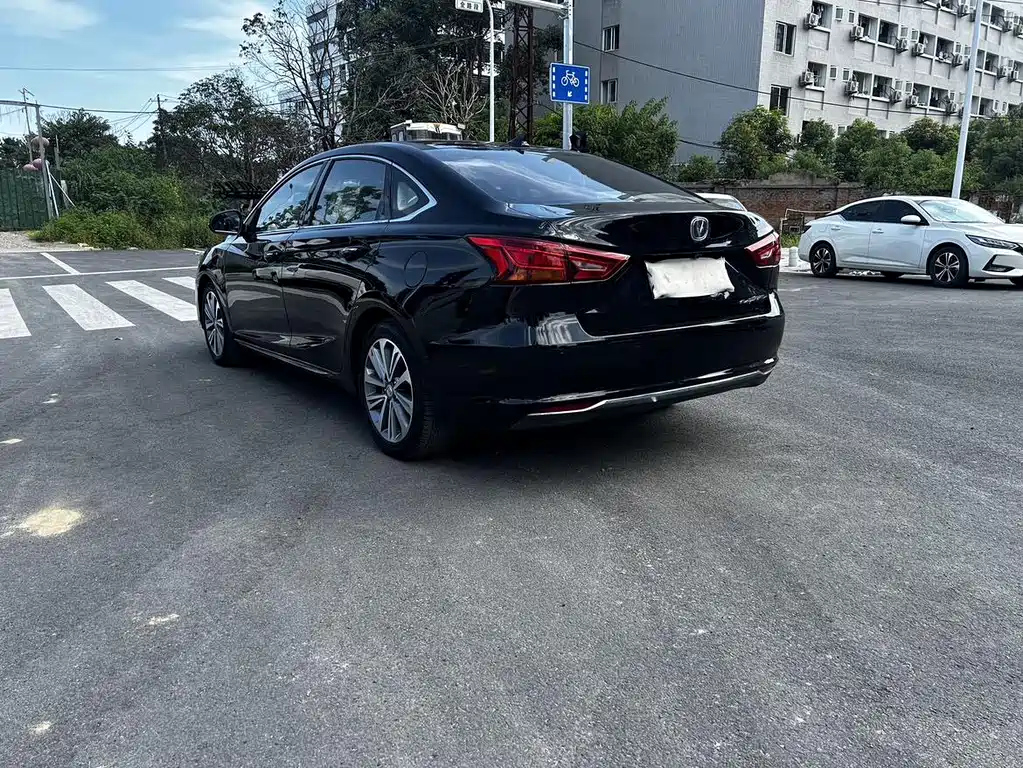 CHANGAN OTHER 2018