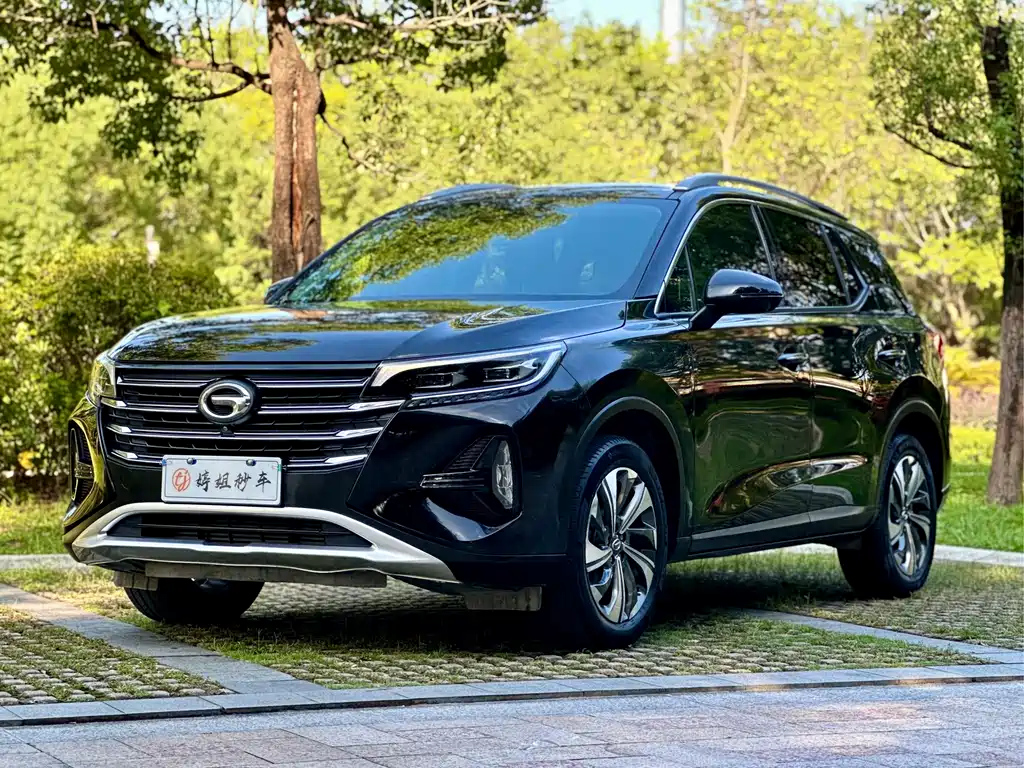 Аукционный лист TRUMPCHI GS4 2020