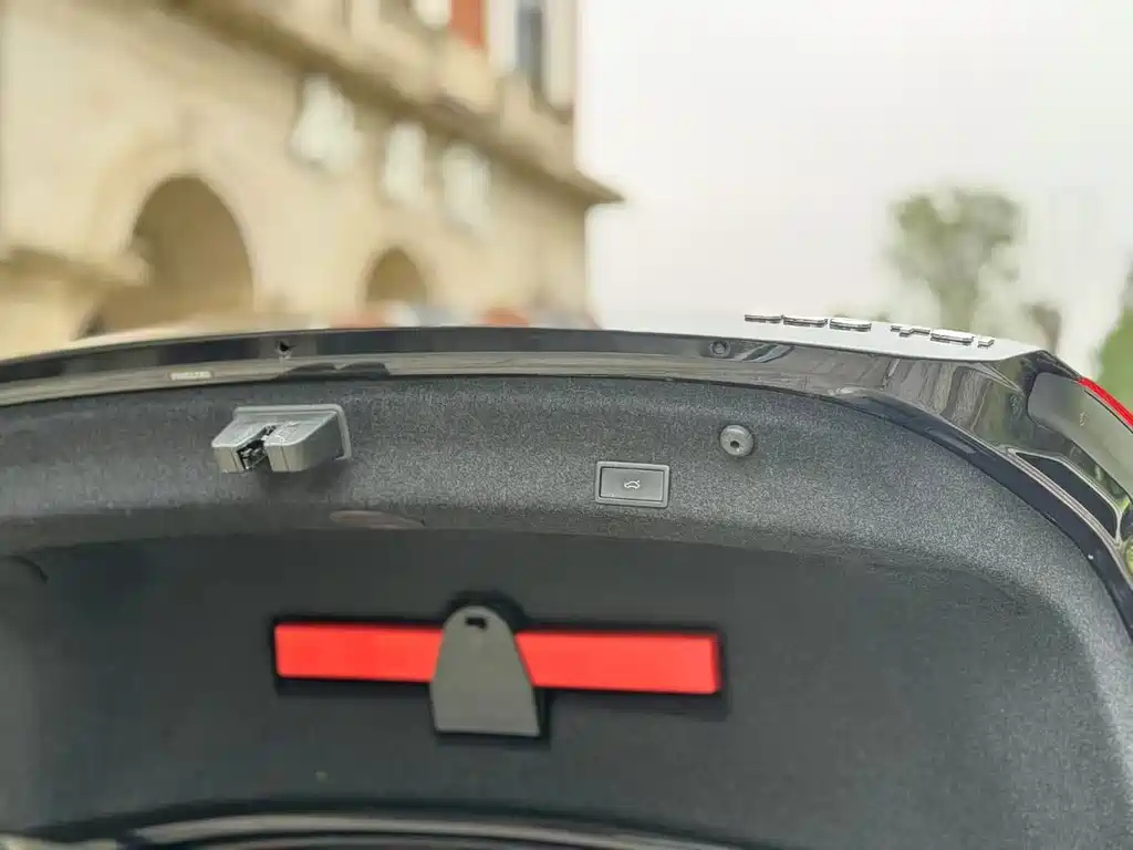 VOLKSWAGEN MAGOTAN 2021