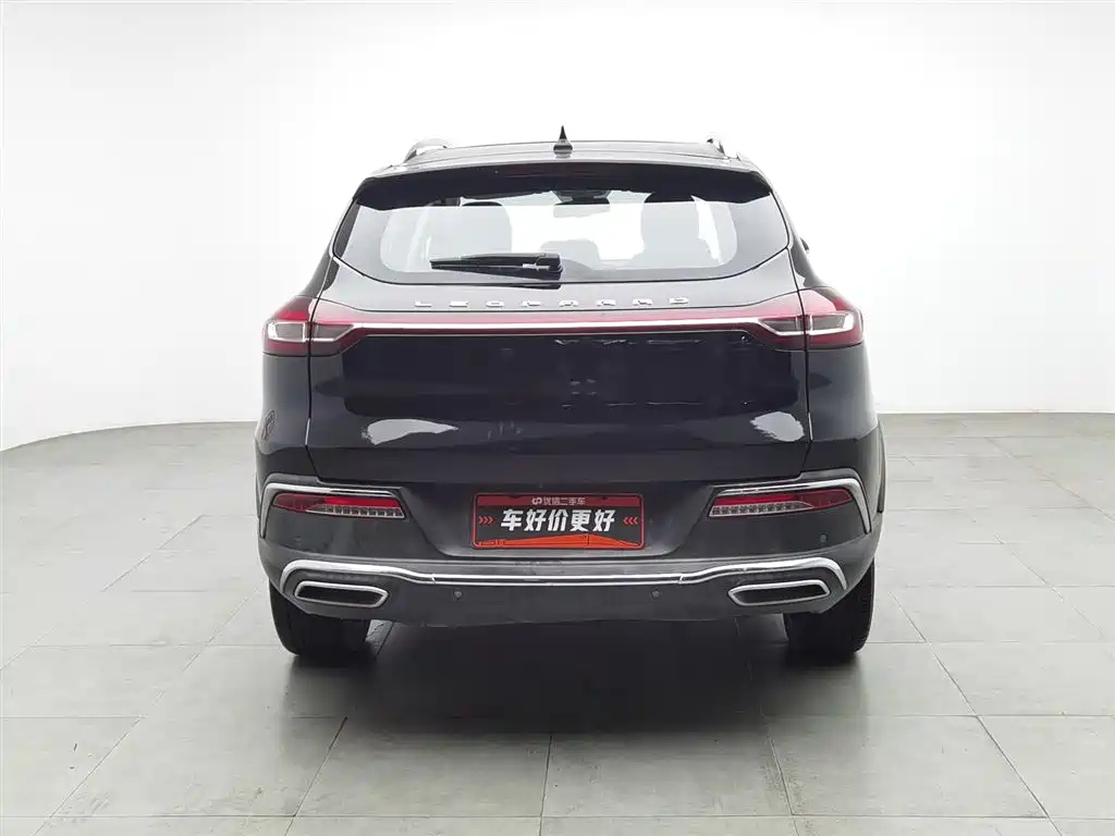 LEOPAARD MATTU 2018