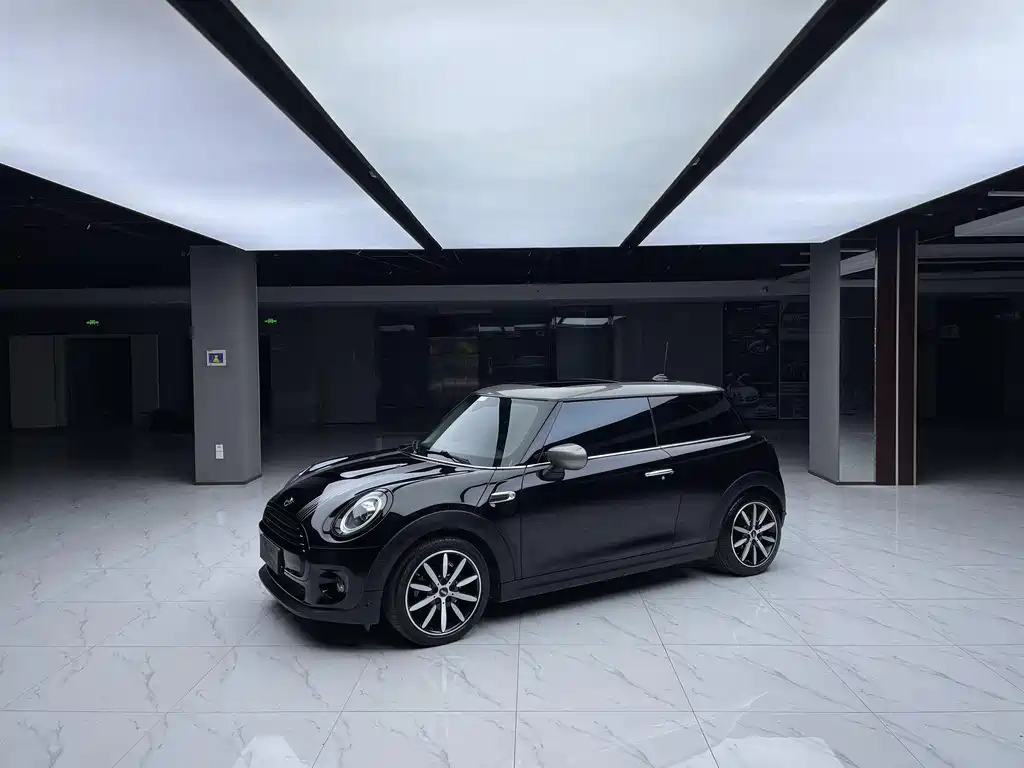 MINI OTHER 2021
