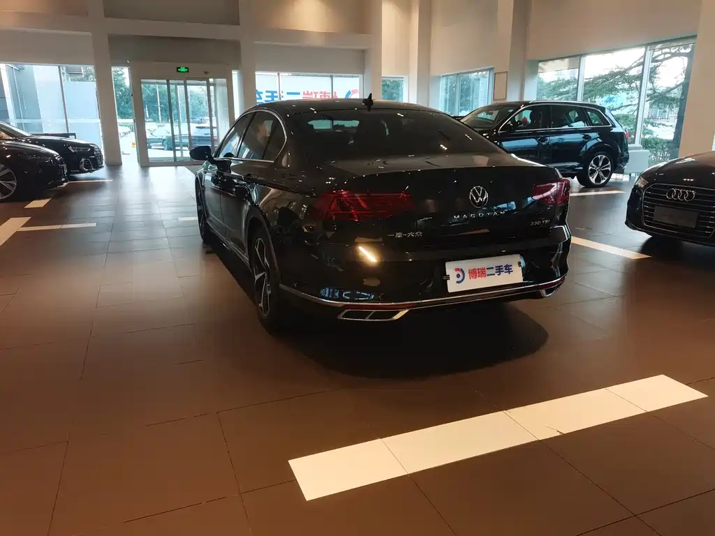 VOLKSWAGEN MAGOTAN 2024