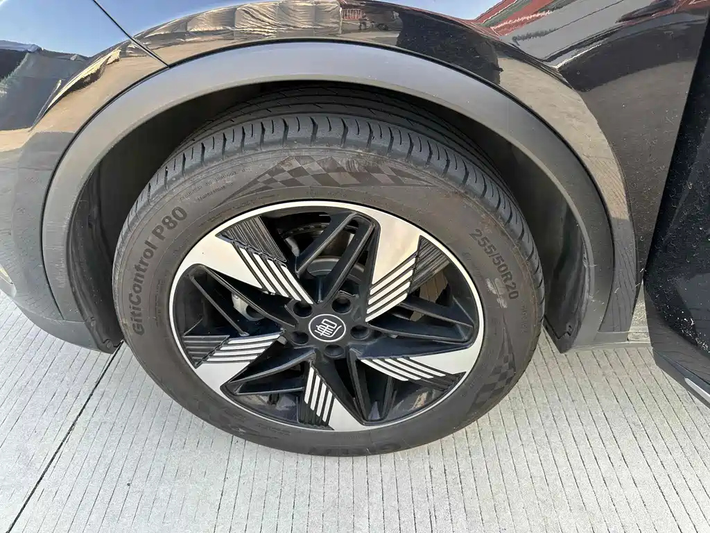 BYD TANG NEW ENERGY 2024