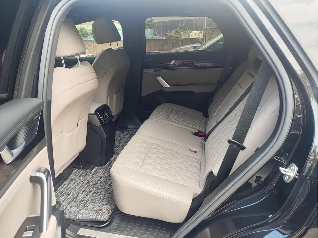 BYD TANG NEW ENERGY 2023