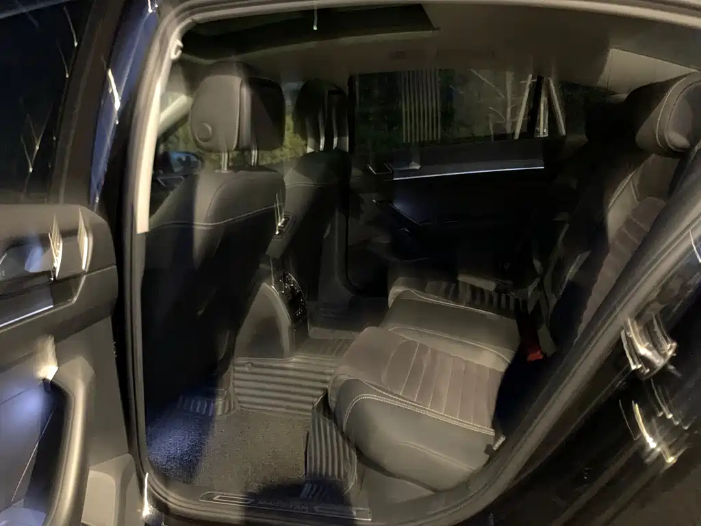 VOLKSWAGEN MAGOTAN 2020