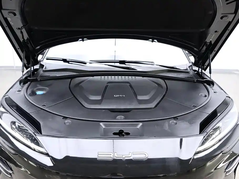 BYD SONG PLUS NEW ENERGY 2024