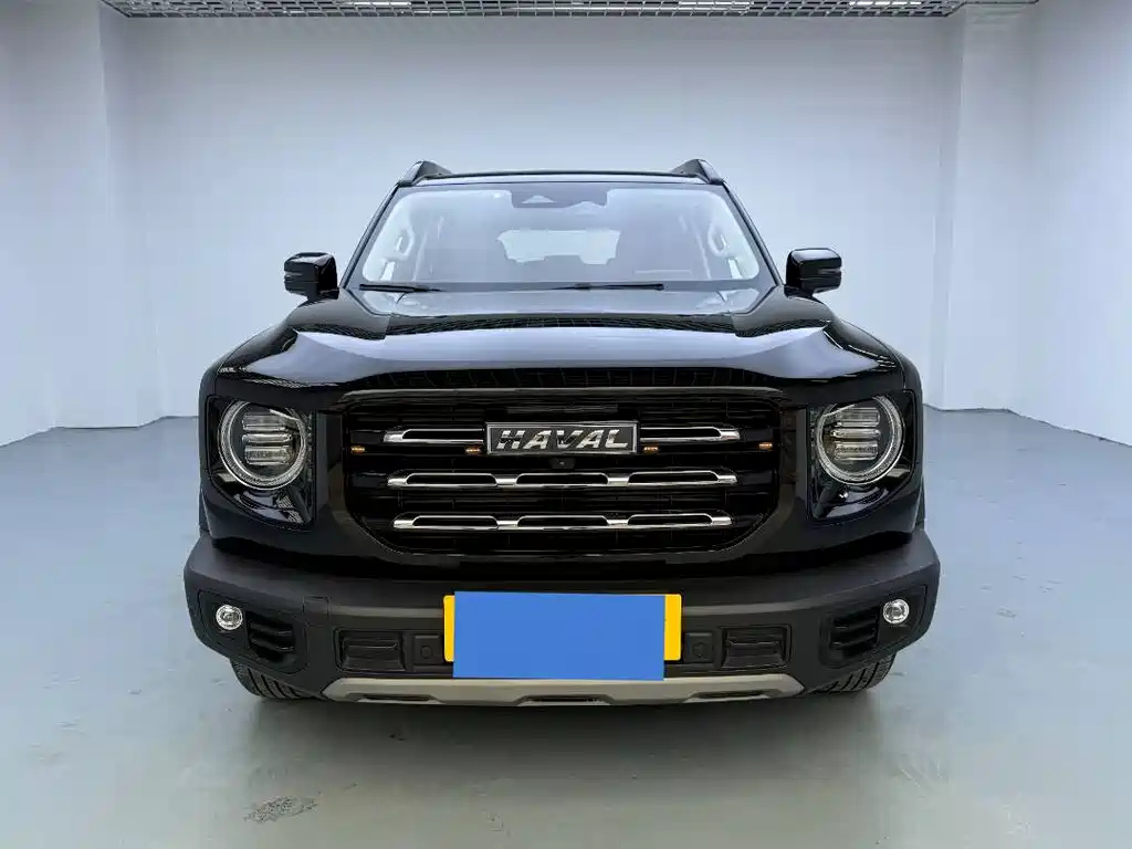 HAVAL BIG DOG 2021