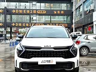 Заказать KIA LION PLATINUM 拓界