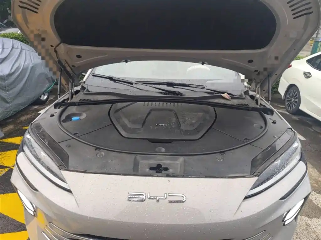 BYD SONG PLUS NEW ENERGY 2024