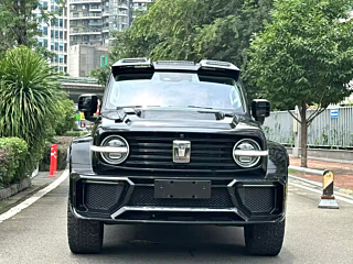 TANK 300  2021