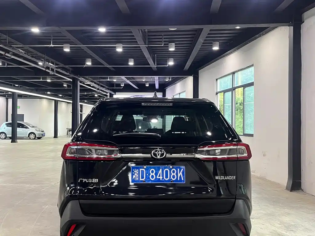 TOYOTA WILDLANDER 2020