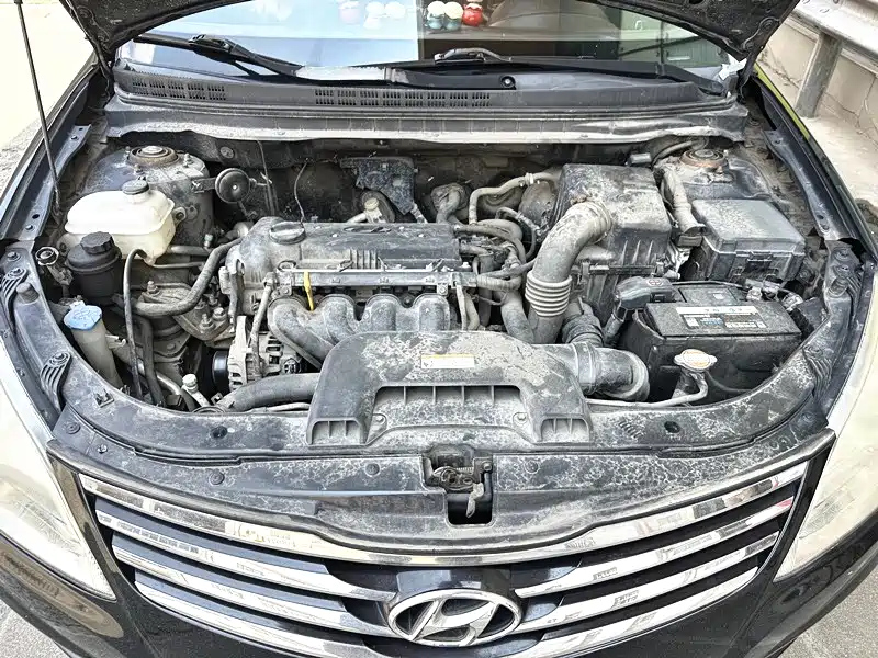 HYUNDAI CELESTA 2010