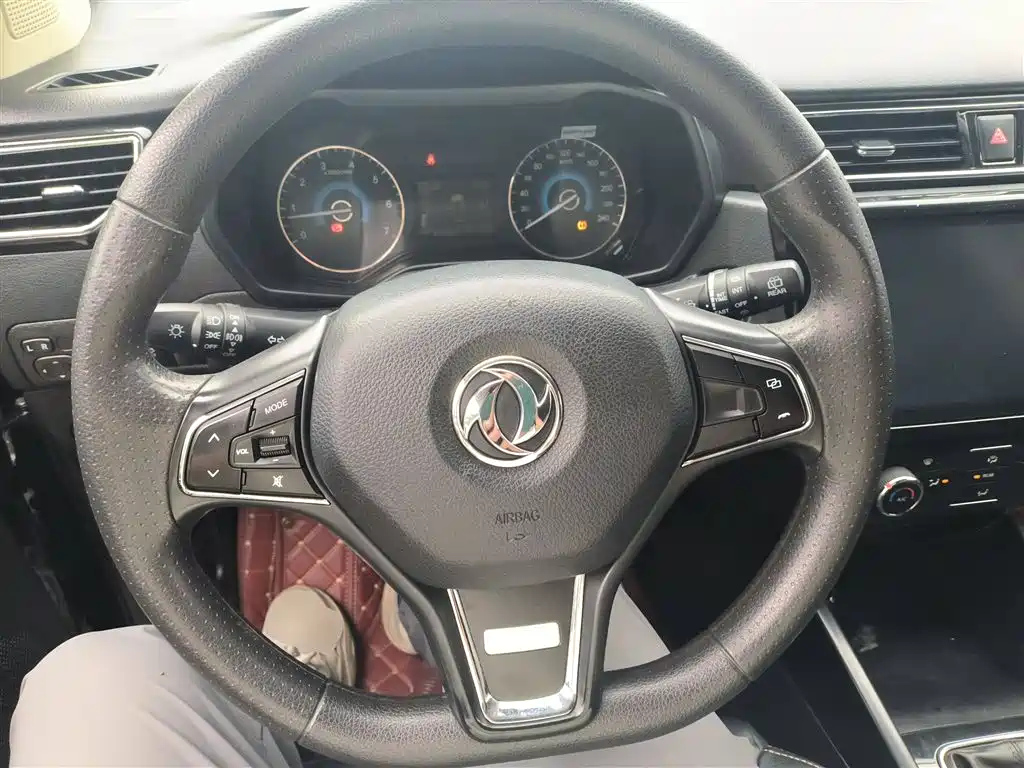 DONGFENG SCENERY 580 2020
