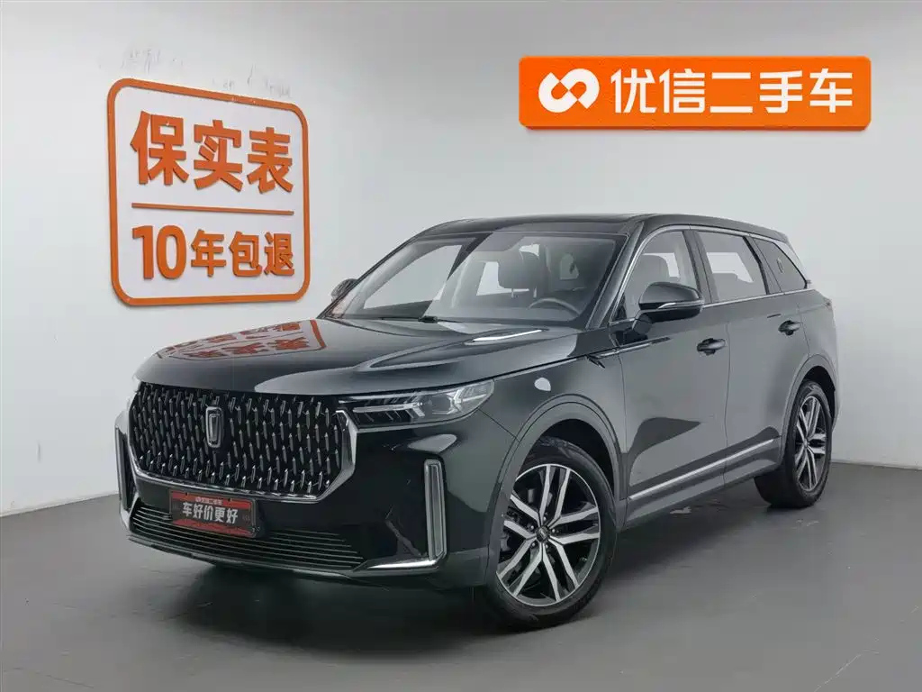 Аукционный лист BESTURN T99 2020