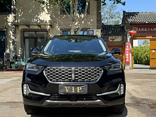 WEY VV6  2021