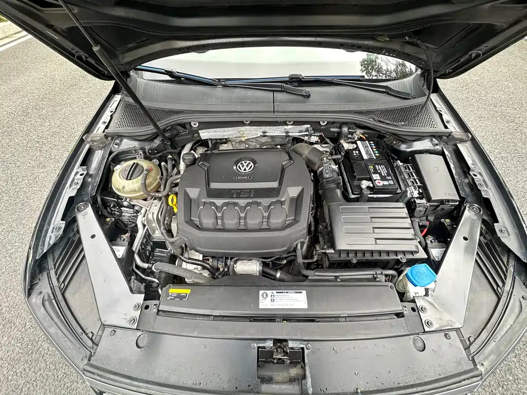 VOLKSWAGEN MAGOTAN 2019