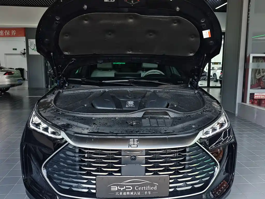 BYD TANG NEW ENERGY 2025
