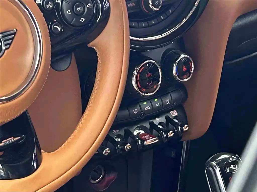 MINI OTHER 2021