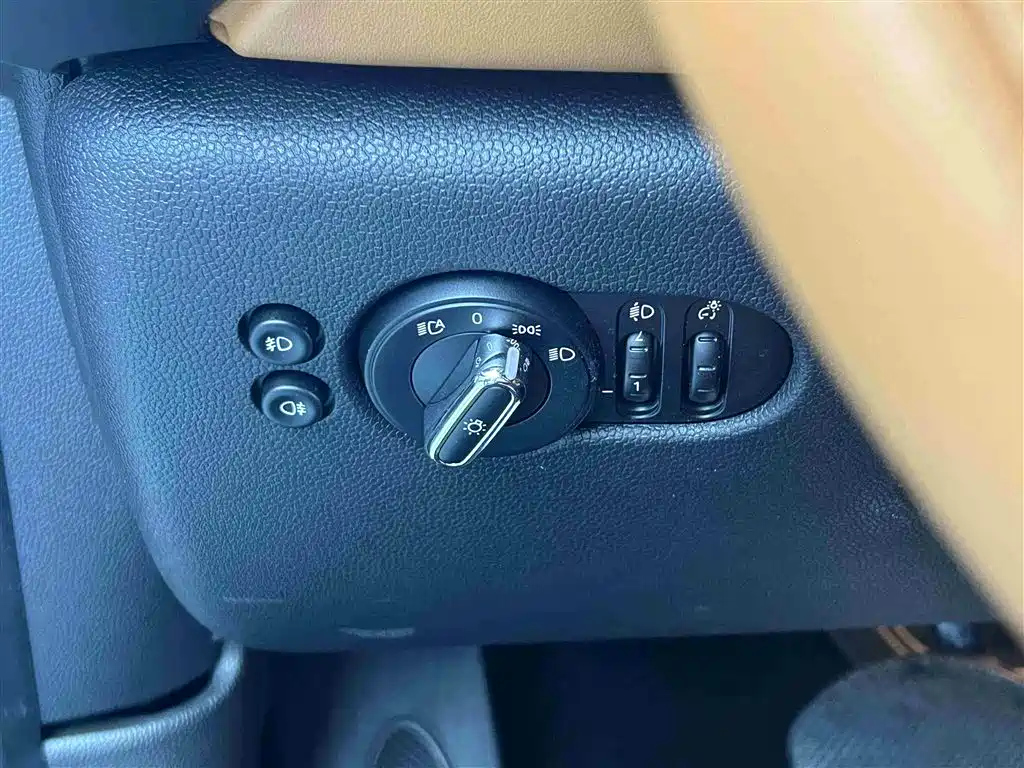 MINI OTHER 2021