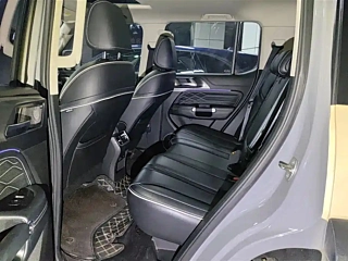 TANK 300 2021 YEAR EDITION 2.0T 2021