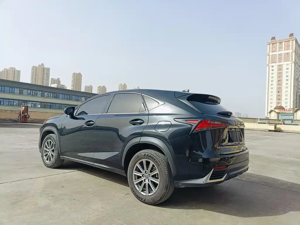 LEXUS NX 2020