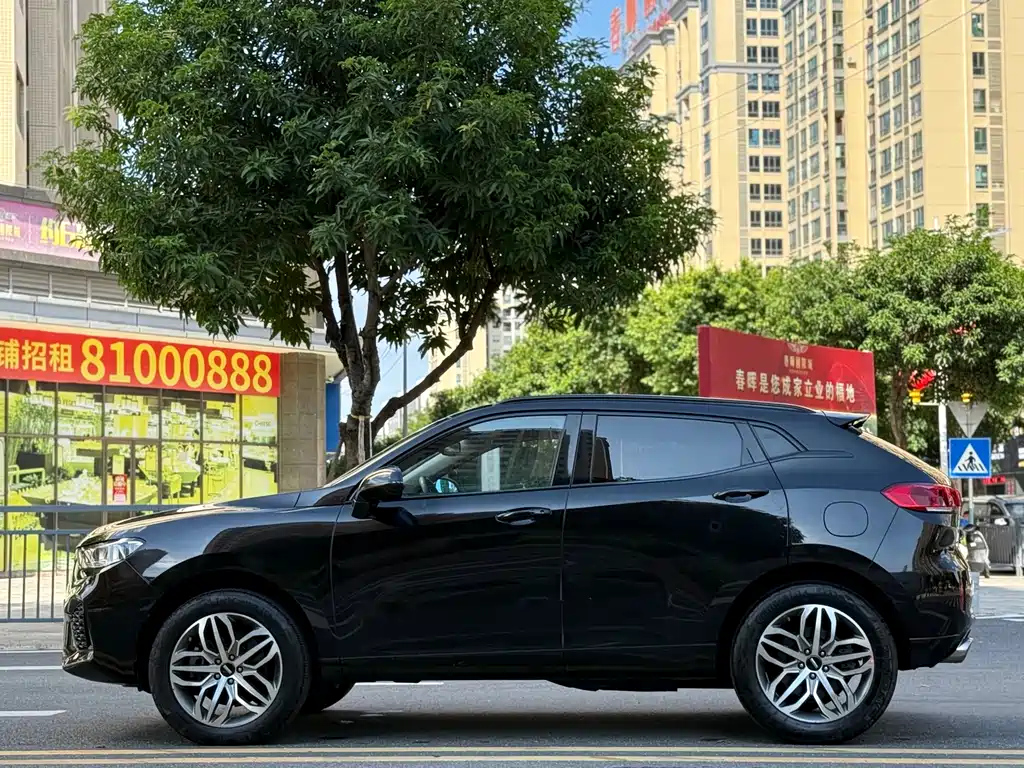 WEY VV5 2017