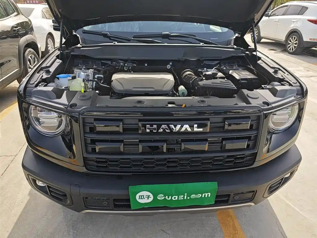 HAVAL BIG DOG 2025